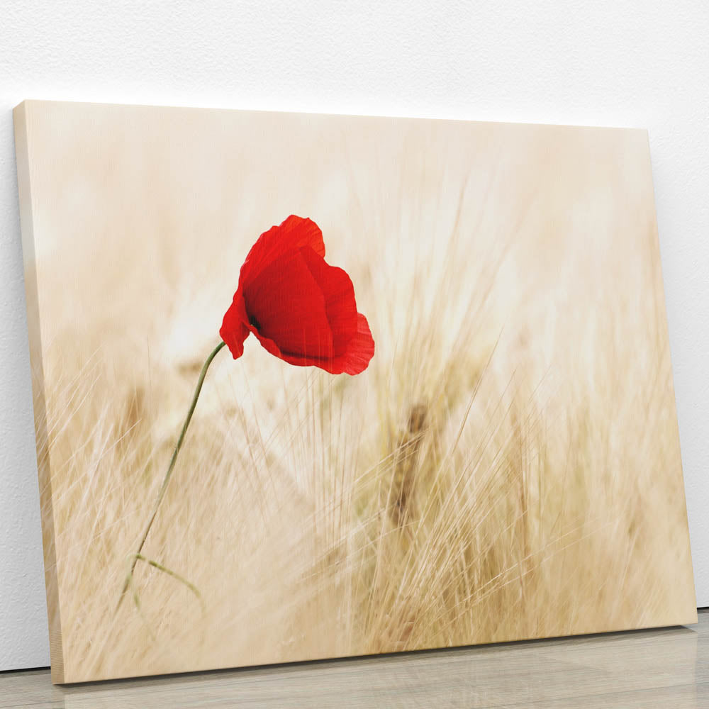 Tablou Canvas - Perfect Red