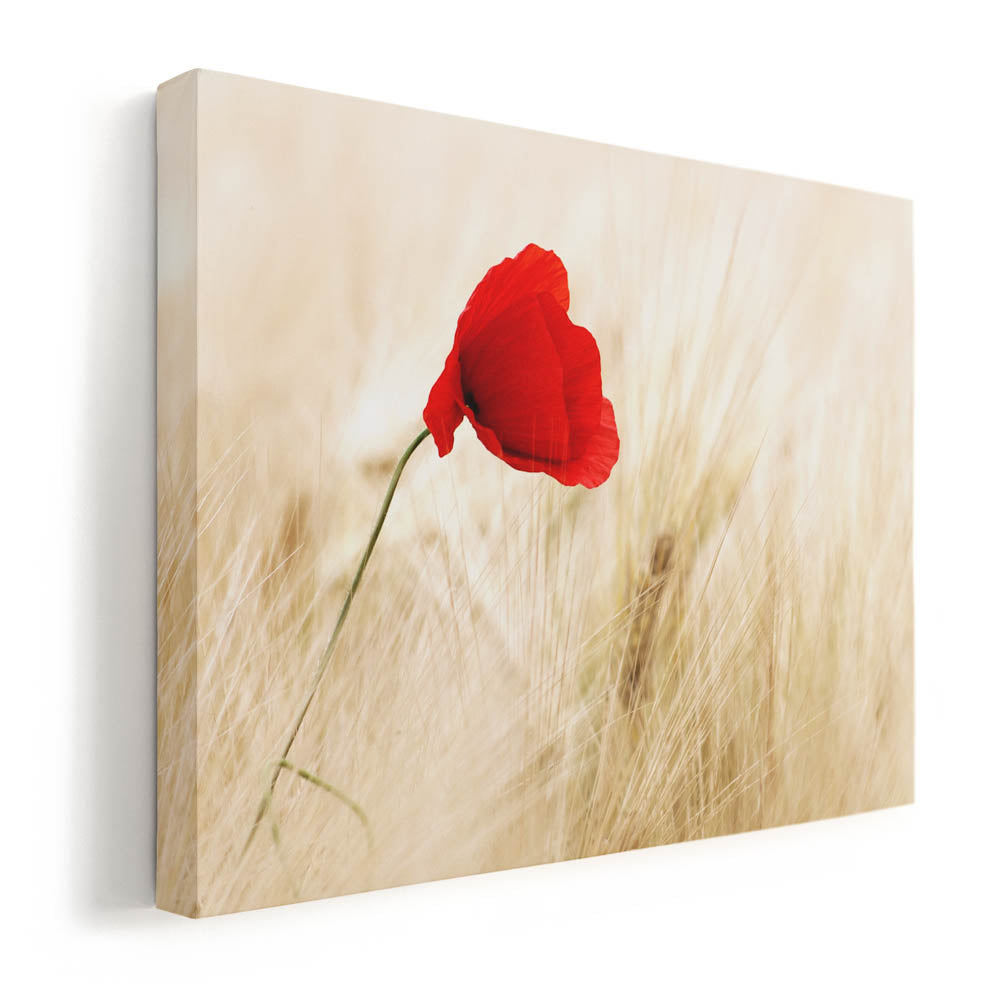 Tablou Canvas - Perfect Red
