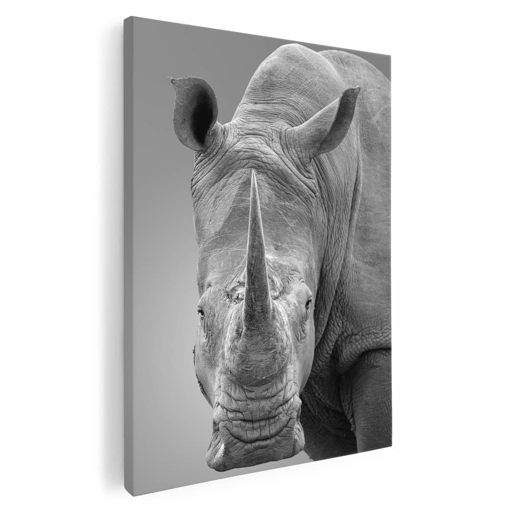 Tablou Canvas - Rhino