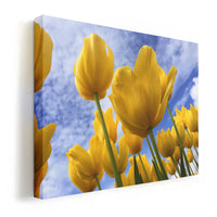 Thumbnail for Tablou Canvas - Yellow Spring