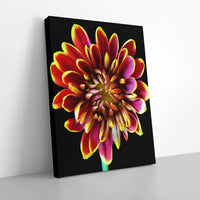 Thumbnail for Tablou Canvas - Abstract Flower