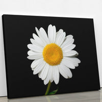 Thumbnail for Tablou Canvas - Perfect White