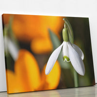 Thumbnail for Tablou Canvas - Spring Sign