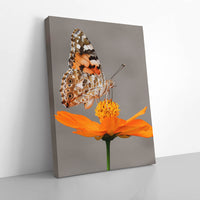 Thumbnail for Tablou Canvas - Butterfly Sign