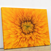 Thumbnail for Tablou Canvas - Fluffy Orange
