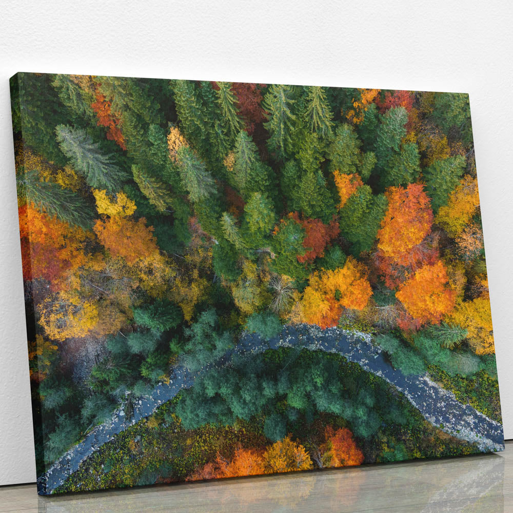 Tablou Canvas - Alee prin pădure