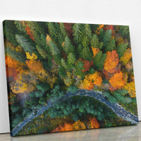 Thumbnail for Tablou Canvas - Alee prin pădure