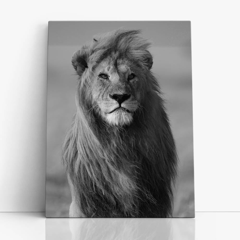 Tablou Canvas - Lion
