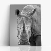 Thumbnail for Tablou Canvas - Rhino