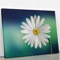Thumbnail for Tablou Canvas - White Petal