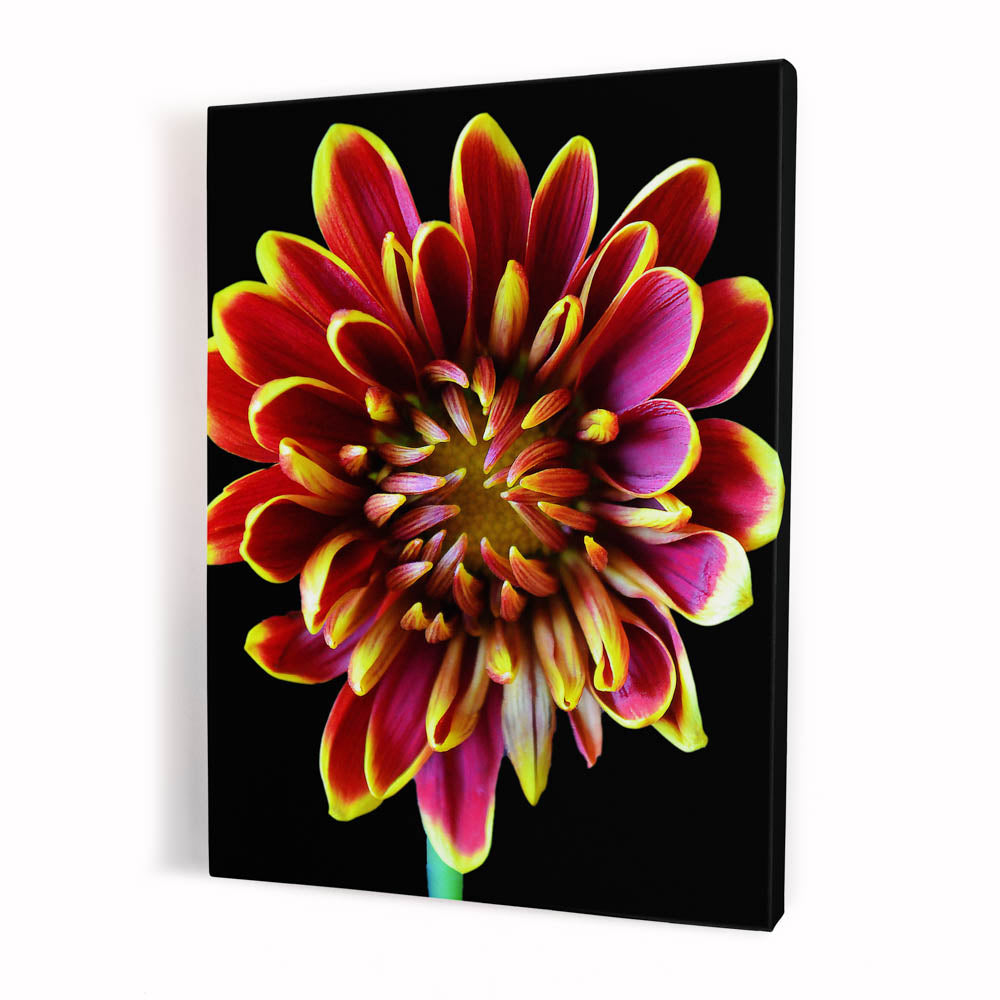 Tablou Canvas - Abstract Flower