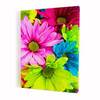 Thumbnail for Tablou Canvas - Rainbow Flower