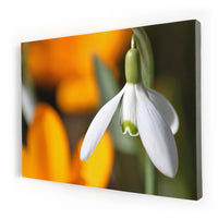 Thumbnail for Tablou Canvas - Spring Sign