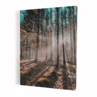 Thumbnail for Tablou Canvas - Switzerland Forest