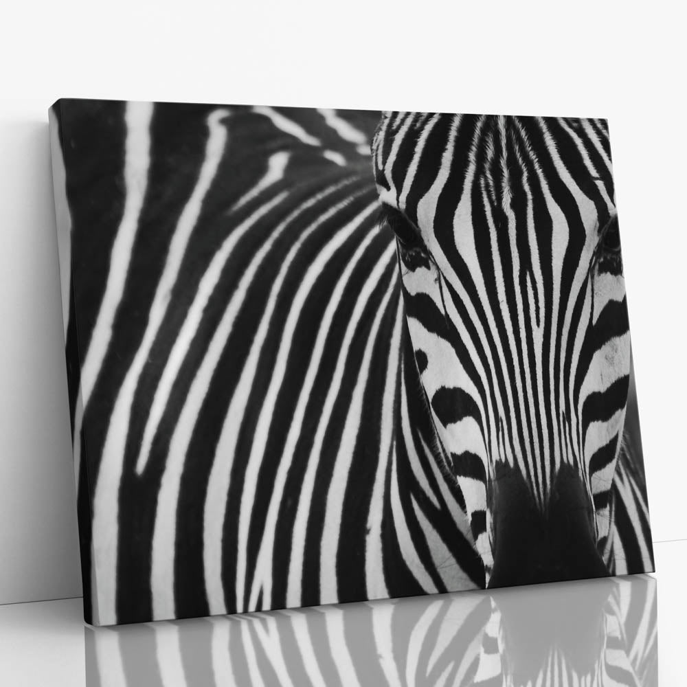 Tablou Canvas - Zebra