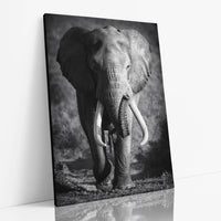 Thumbnail for Tablou Canvas - Elephant Bull