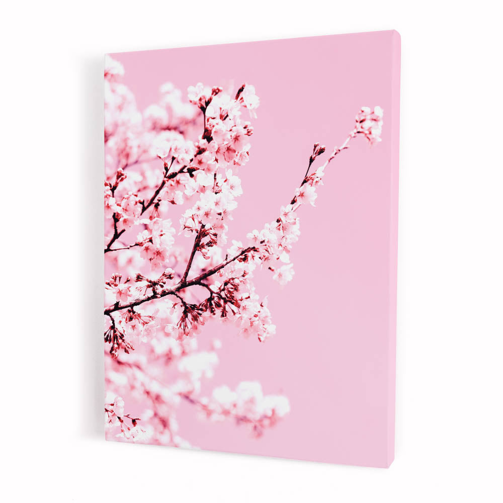 Tablou Canvas - More Pink