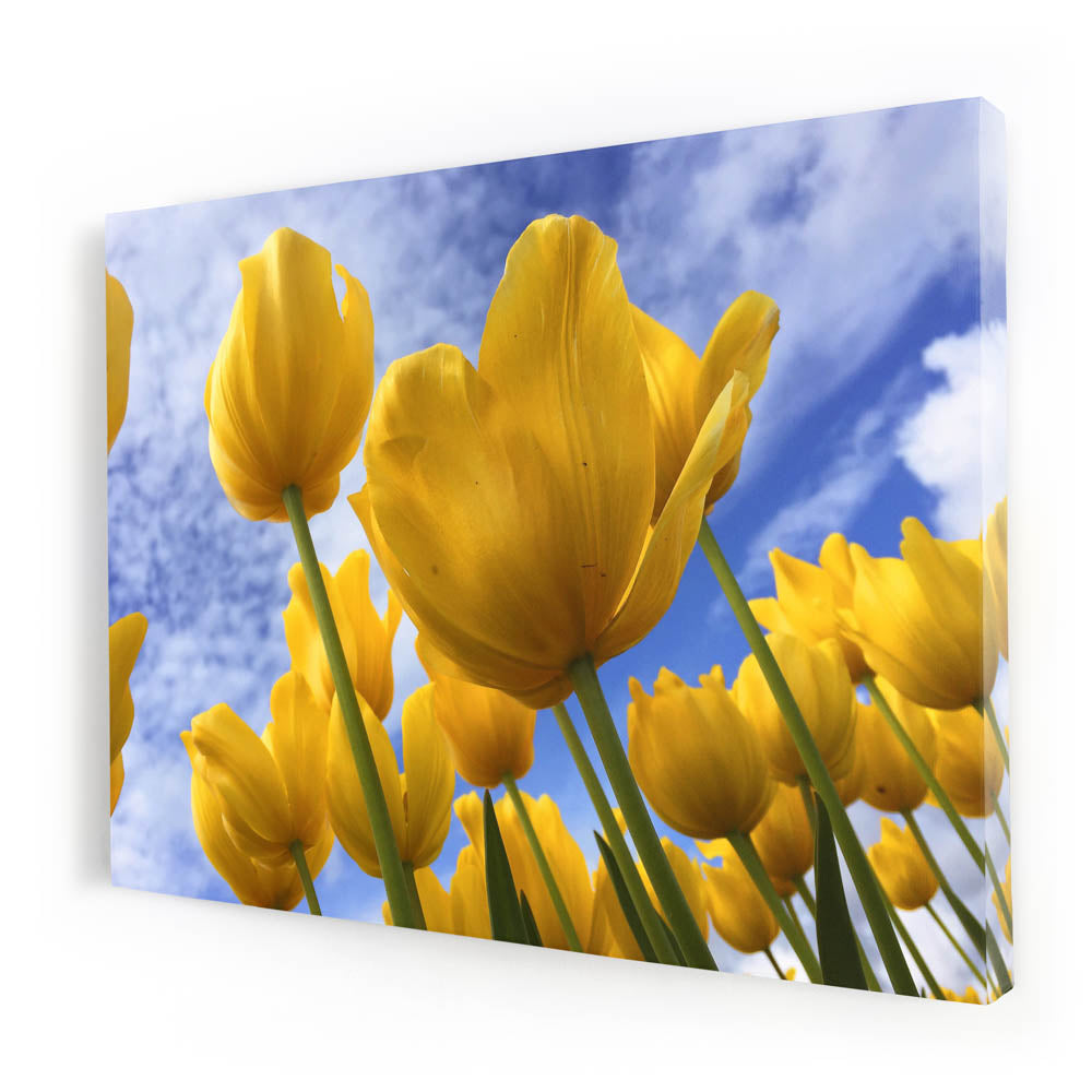 Tablou Canvas - Yellow Spring