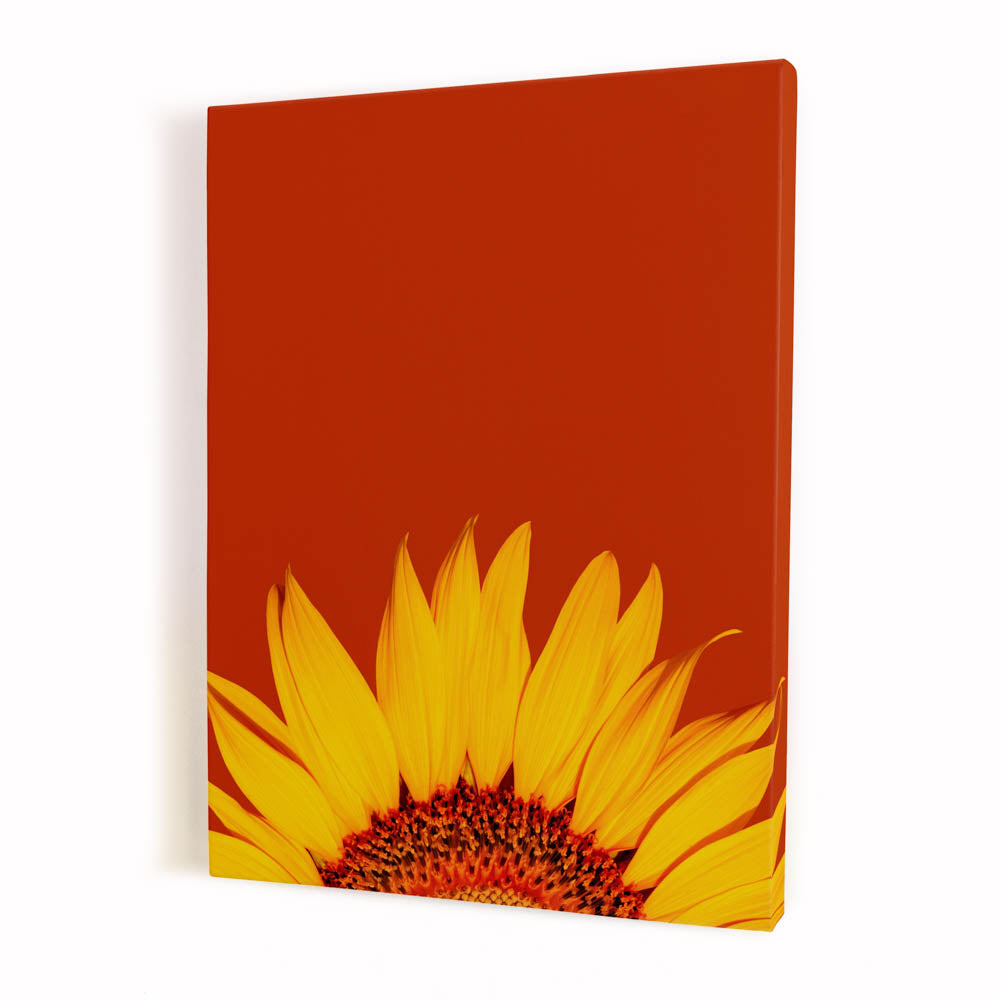 Tablou Canvas - Sunflower
