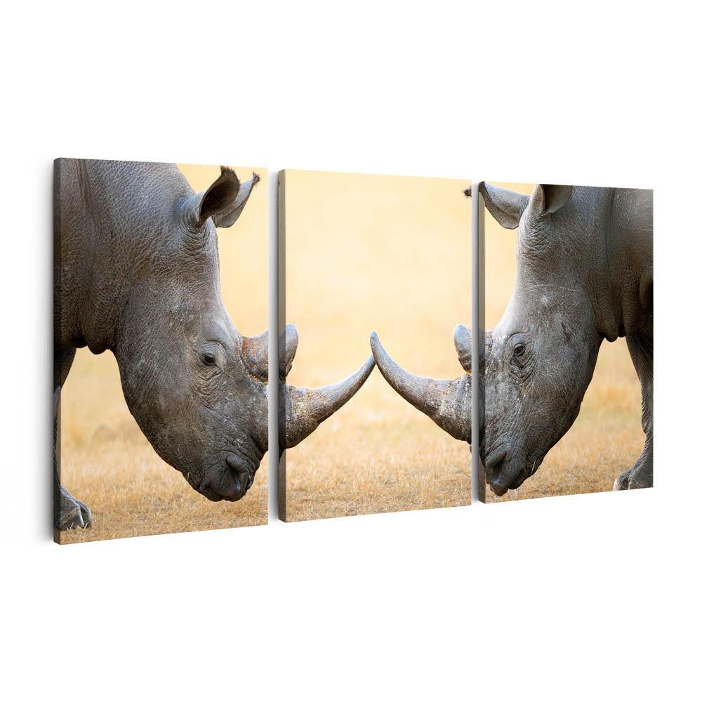 Tablou Multicanvas 3 Piese - White Rhinoceros
