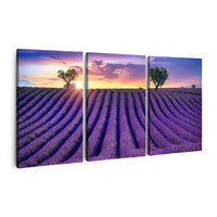 Thumbnail for Tablou Multicanvas 3 Piese - Lavender Field at Sunset