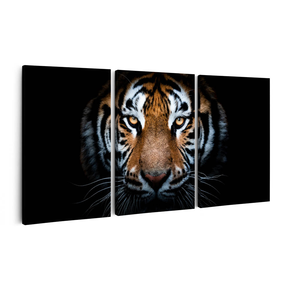Tablou Multicanvas 3 Piese - Portrait of a Tiger