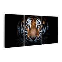 Thumbnail for Tablou Multicanvas 3 Piese - Portrait of a Tiger