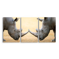 Thumbnail for Tablou Multicanvas 3 Piese - White Rhinoceros