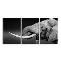Thumbnail for Tablou Multicanvas 3 Piese - Elephant Bull