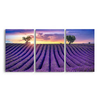 Thumbnail for Tablou Multicanvas 3 Piese - Lavender Field at Sunset
