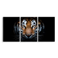 Thumbnail for Tablou Multicanvas 3 Piese - Portrait of a Tiger