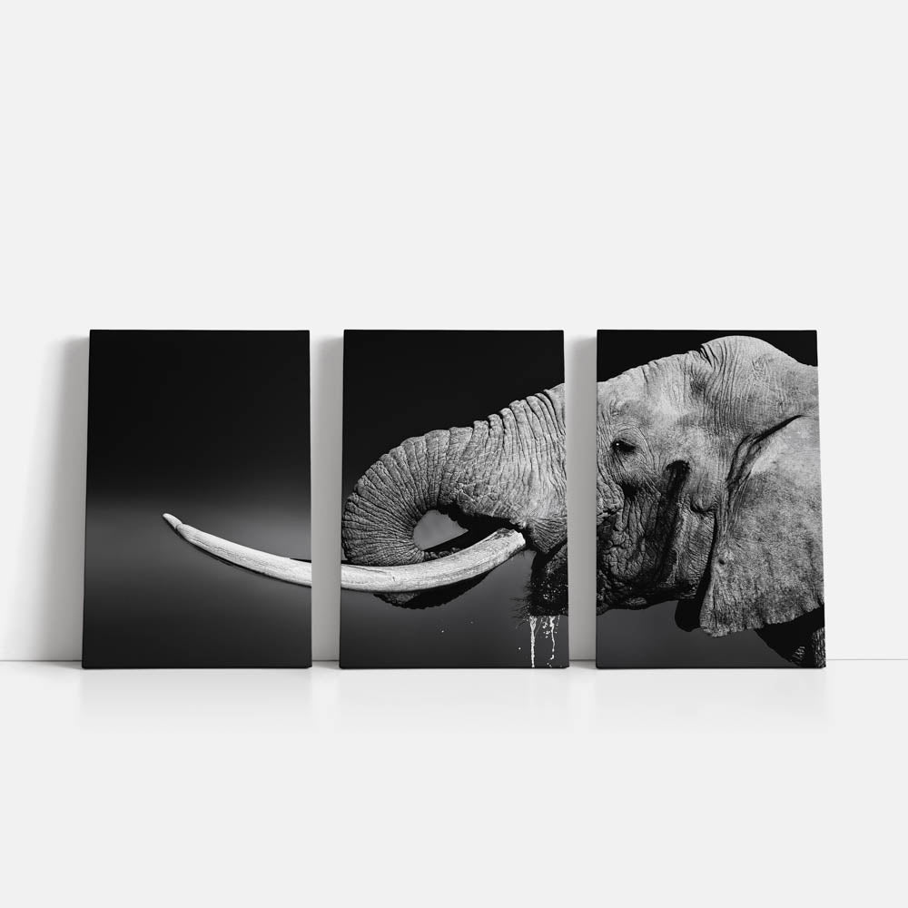 Tablou Multicanvas 3 Piese - Elephant Bull