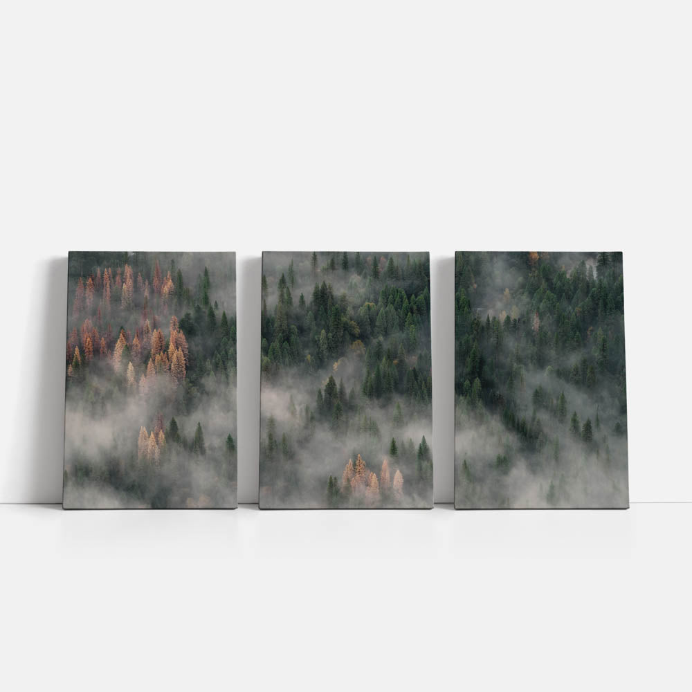 Tablou Multicanvas 3 Piese - The Fog